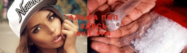 амф Белоозёрский